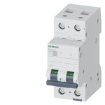 5SL6202-7-Miniature circuit breaker 400 V 6kA, 2-pole, C, 2A