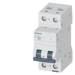 5SL6204-7-Miniature circuit breaker 400 V 6kA, 2-pole, C, 4A
