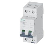 5SL6210-7-Miniature circuit breaker 400 V 6kA, 2-pole, C, 10 A