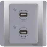 SCHNEIDER E3032USB_GS-NEO - 2 x 2.1A USB Charger - Grey Silver