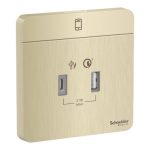 Schneider electric - AvatarOn, USB charger, type A + C, 2.1…3 A, Metal Gold Hairline - E8332ACQUSB_GH