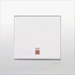 SCHNEIDER KB31DR45N_WE-VIVACE 45A 250V Double Pole Switch with Neon