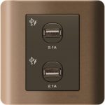 SCHNEIDER E8432USB_SZ-ZENcelo 2x2.1A USB Charger Silver Bronze