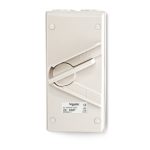 SCHNEIDER WHD20_GY - KAVACHA 20A 440V Wheatherproof Surface Mount Double Pole Isolating Switch IP66