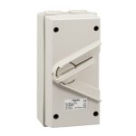 SCHNEIDAR WHD35_GY-Kavacha - 35A - 440V - Surface Mount Double Pole Isolating Switch - IP66