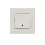 1 Gang Double Pole Switch with Neon and Earth